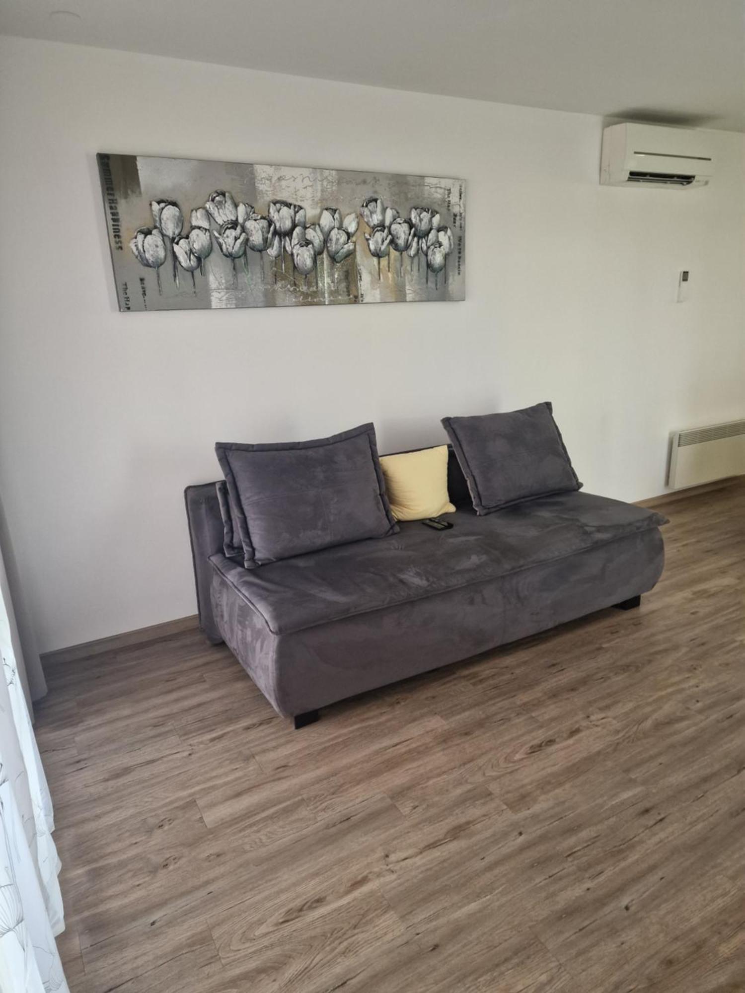 Family Apartment Moravske-Toplice Εξωτερικό φωτογραφία