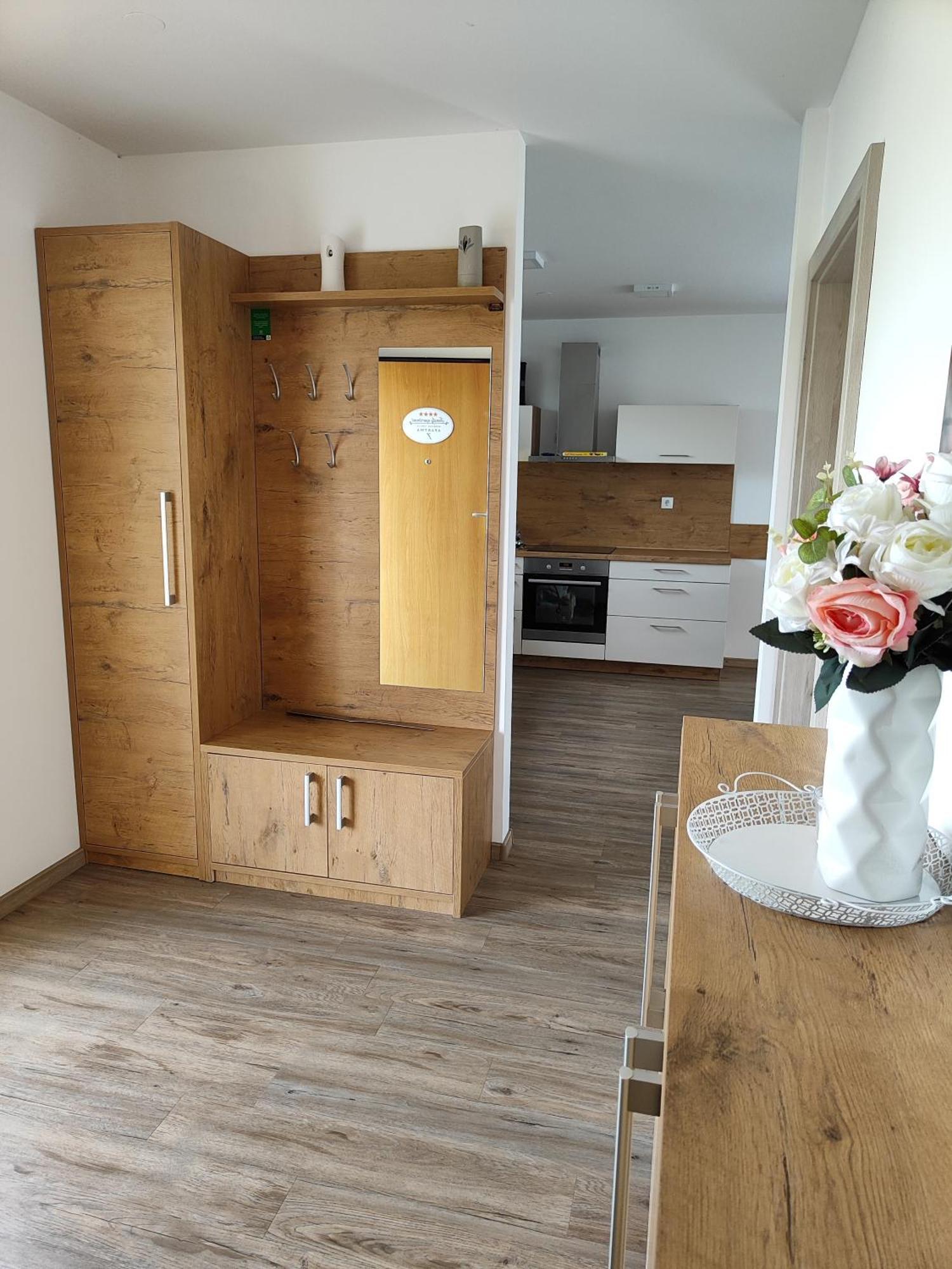 Family Apartment Moravske-Toplice Εξωτερικό φωτογραφία