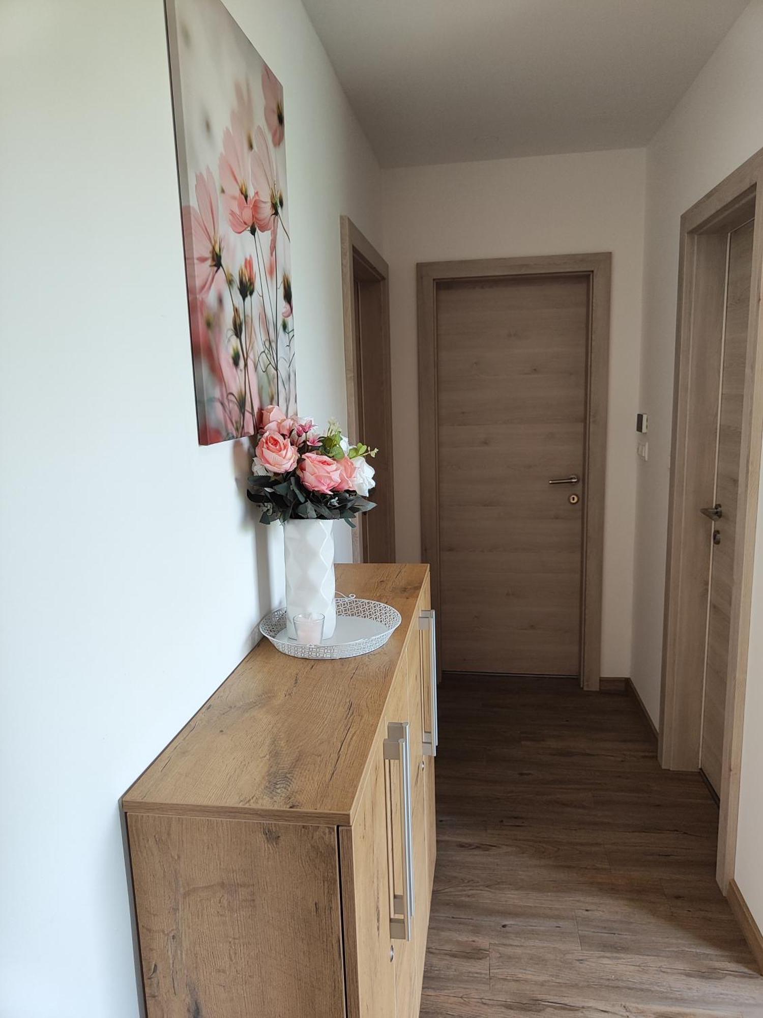 Family Apartment Moravske-Toplice Εξωτερικό φωτογραφία