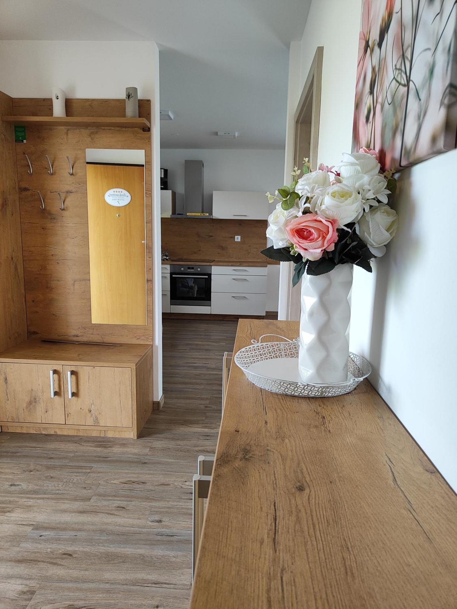 Family Apartment Moravske-Toplice Εξωτερικό φωτογραφία